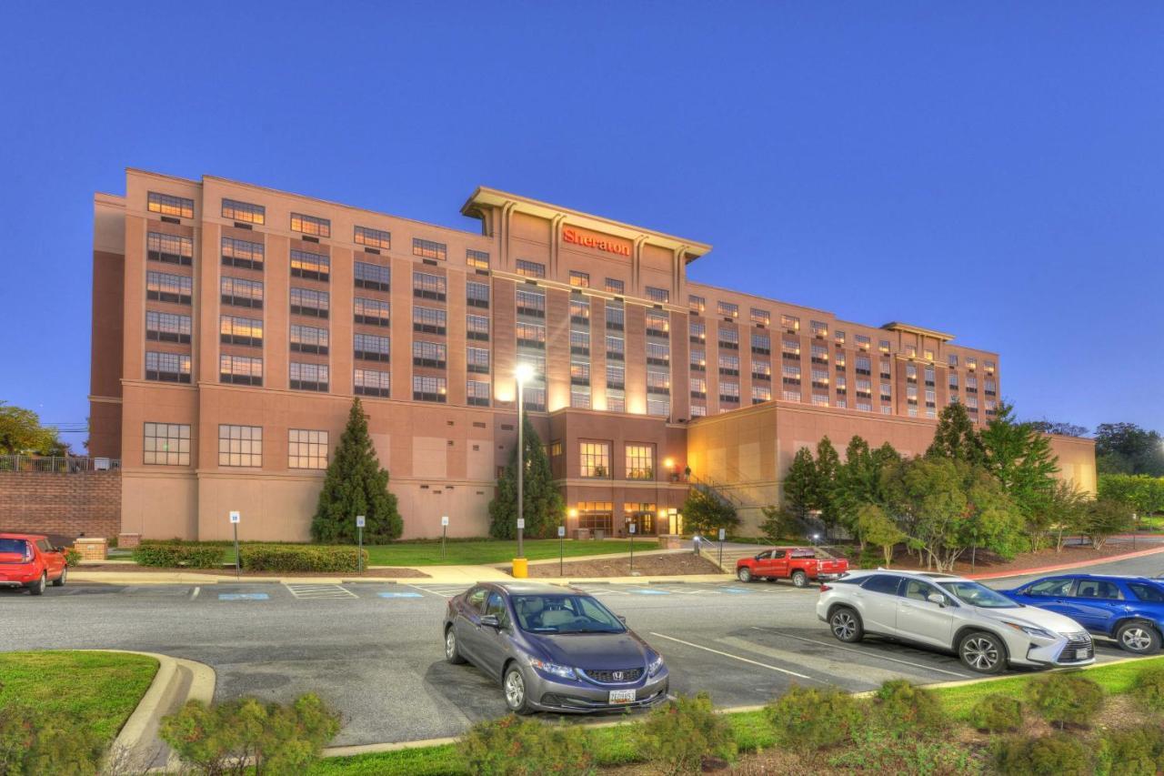 Sheraton Baltimore Washington Airport - BWI Hotel Linthicum Bagian luar foto